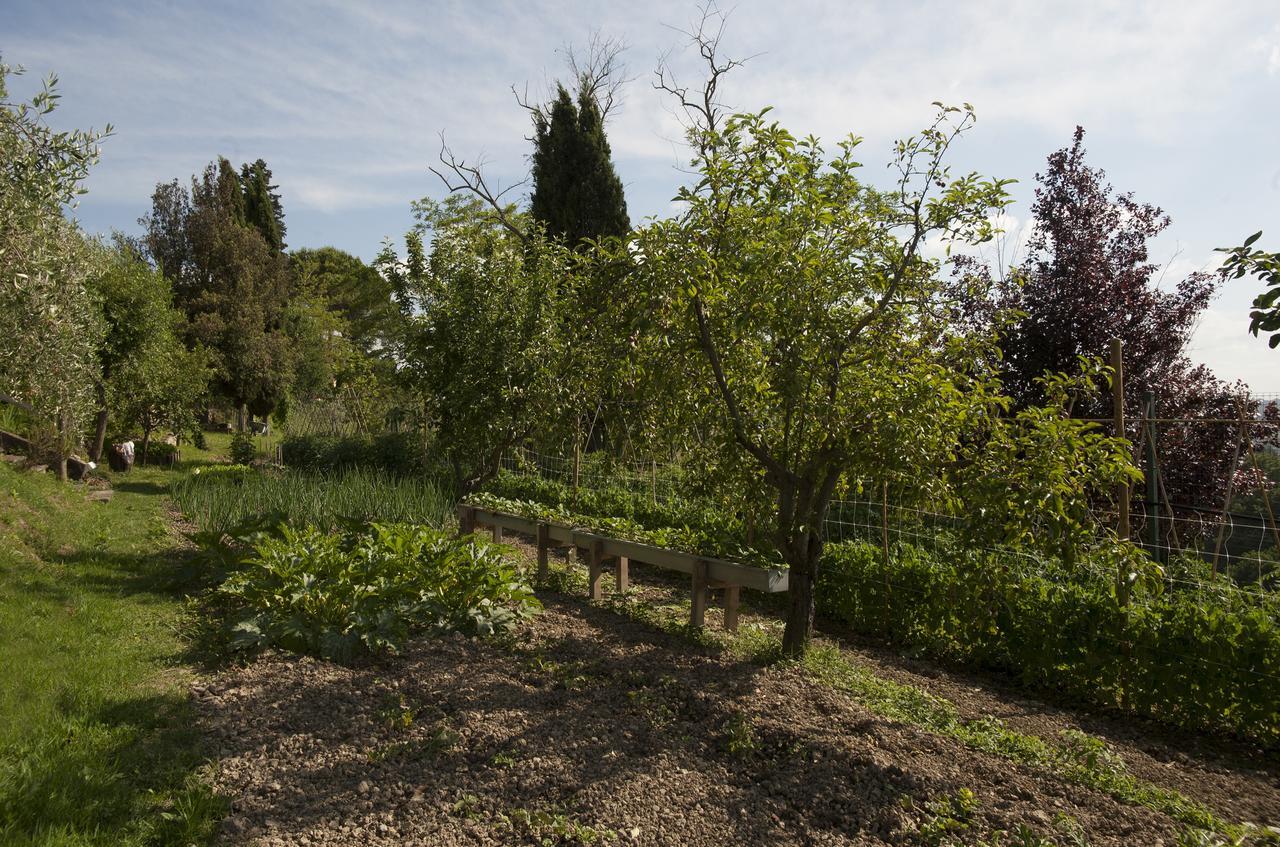 Tenuta Cambiano By Posarellivillas Castelfiorentino Eksteriør bilde